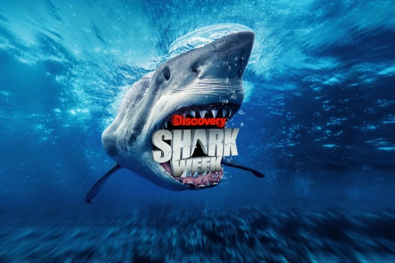 Shark Week